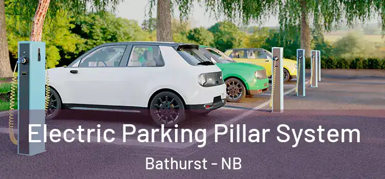  Electric Parking Pillar System Bathurst - NB